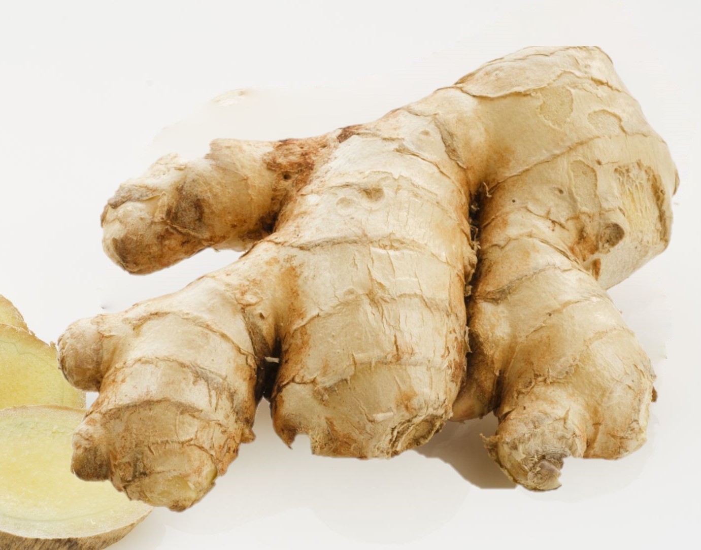 GINGER/ AADA