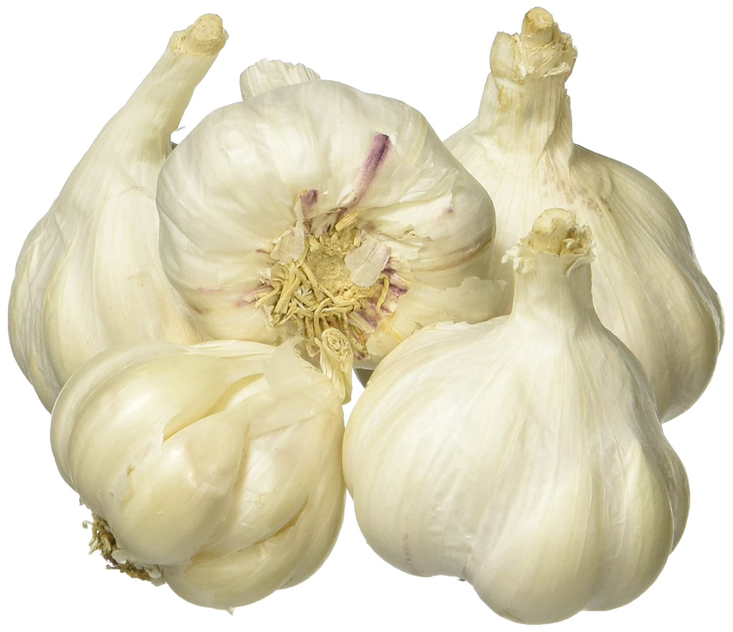 GARLIC /ROSUN