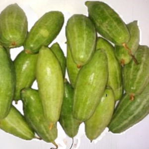 POINTED GOURD/ MACHA PATAL
