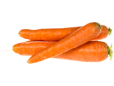 CARROT/ GAJOR