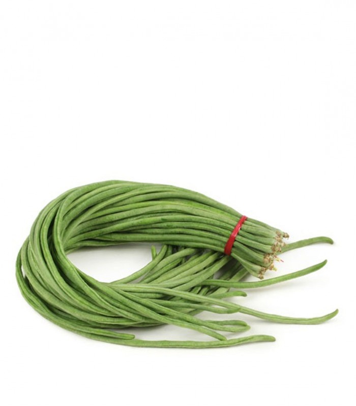 COWPEA/ BARBATI