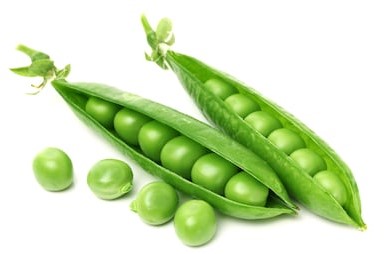 PEAS/ MATARSHUTI