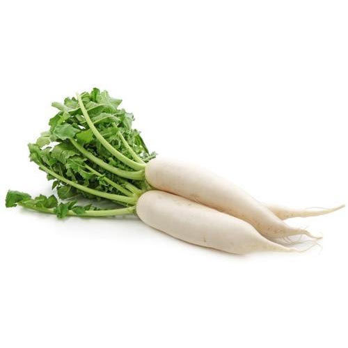 RADISH / MULO