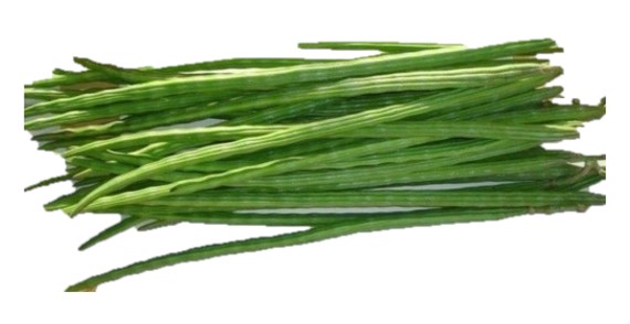 DRUMSTICK/SOJNE DATA