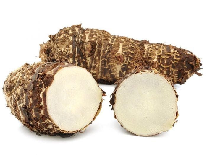 TAPIOCA/ MANKOCHU
