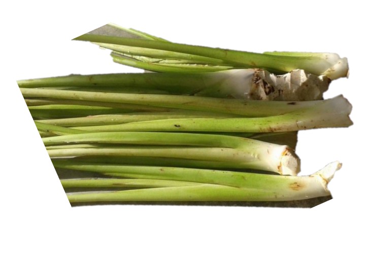 TARO STEM/ KOCHUR SHAK