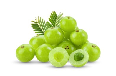 AMLA/ AMLOKI