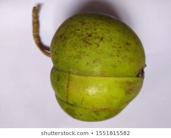 CHALTA