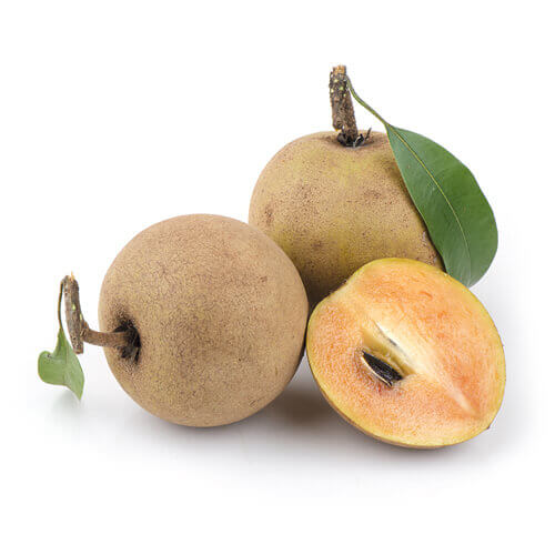 CHIKOO/ SABEDA
