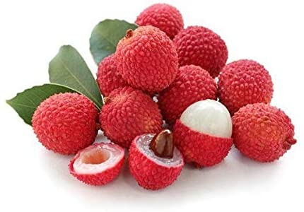 LITCHI / LICHU