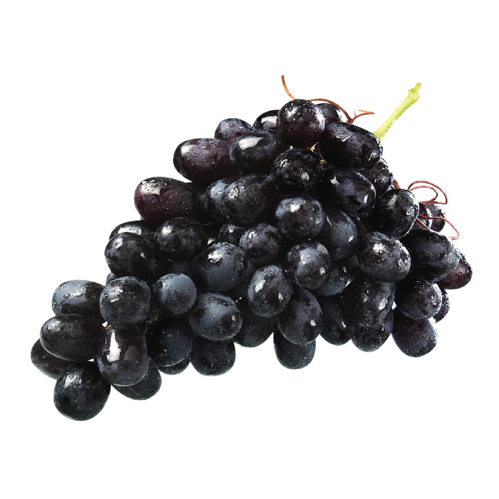 BLACK GRAPES/ ANGUR KALO