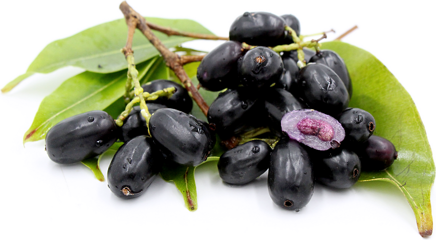 BLACK PULM /KALO JAAM