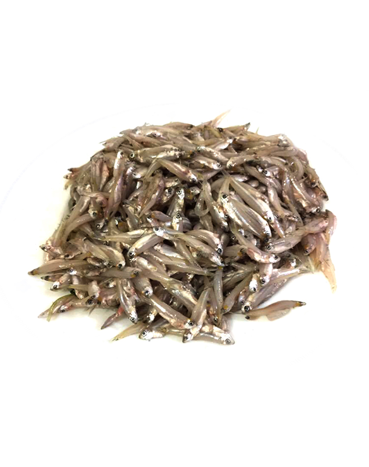KACHKI FISH