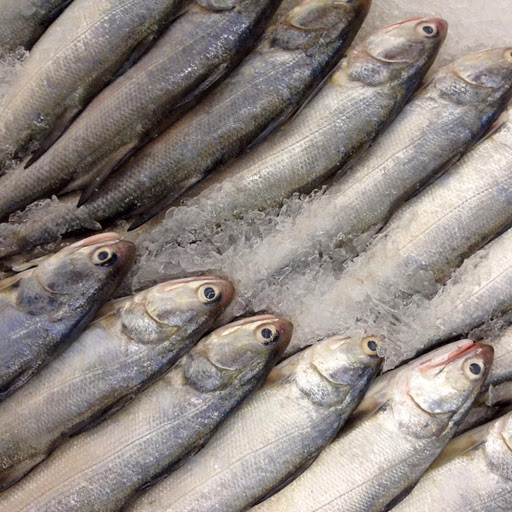 GURJALI FISH (200 gm - 300 gm)