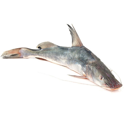 AAR FISH 