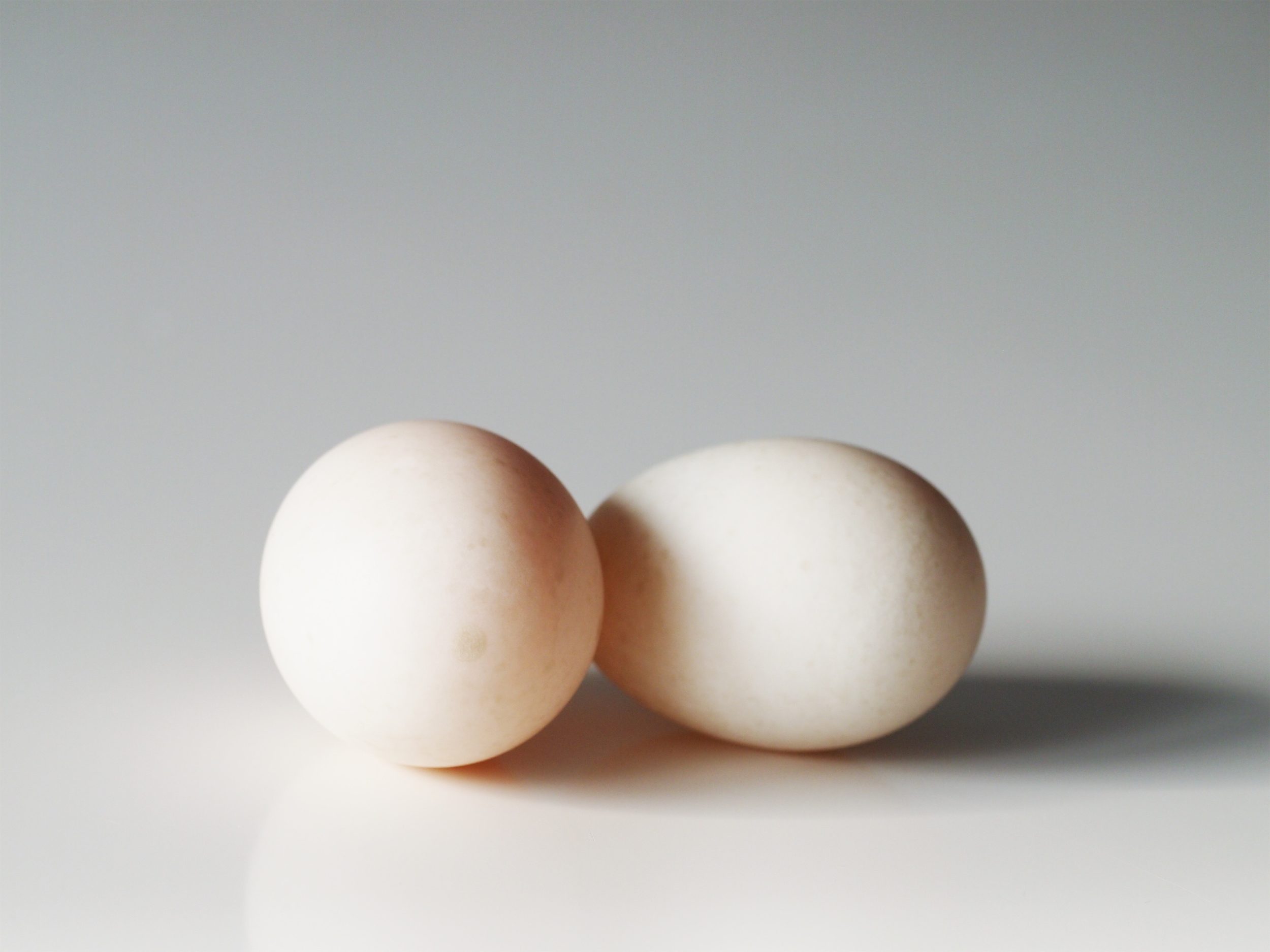 EGG DUCK