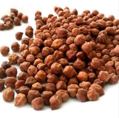 CHANA BLACK