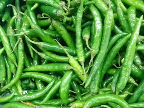 GREEN CHILI